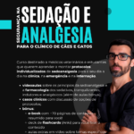 Segurança na sedação e analgesia